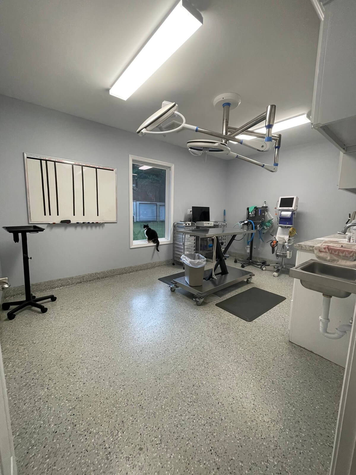 Betz Veterinary Services surgery area