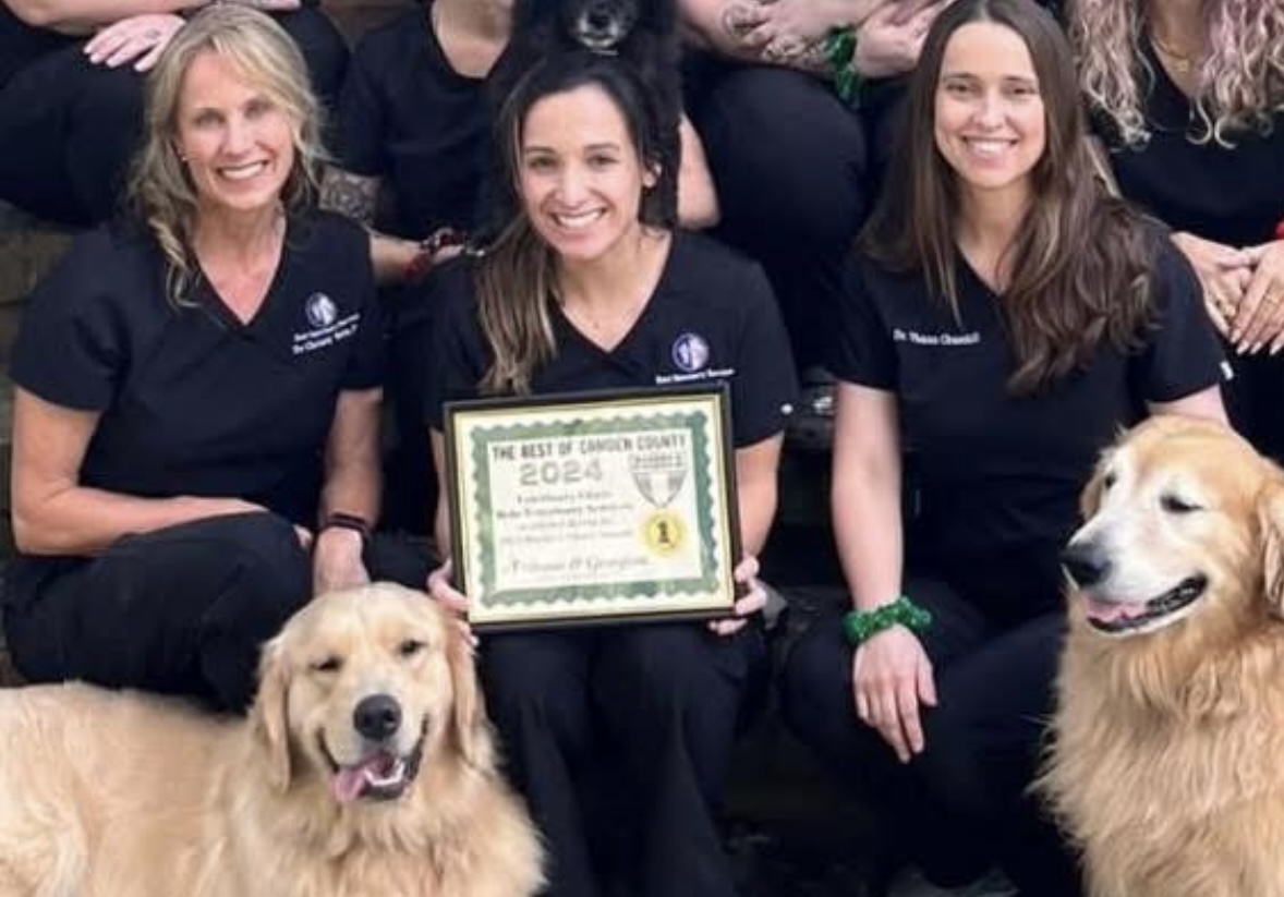 two vet techs examining a horse